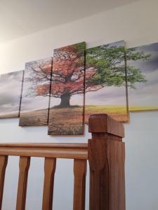 B&B / Chambres d'hotes Ty Samy et Seb : photos des chambres