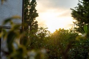 Franzs House - Connies Heritage