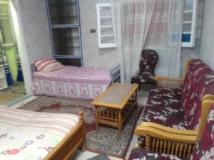 ادفو 35كامب شيزار