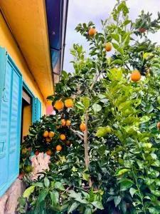 Casa Rural Las Gesillas - Piedralaves