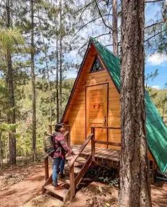 Cabaña privada en el bosque, cerca al rio Starlinkk - Pluma Hidalgo