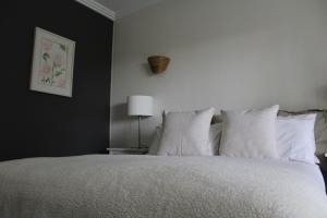 Elfin Hill Vineyard Accommodation