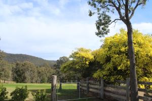 Elfin Hill Vineyard Accommodation