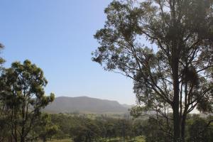 Elfin Hill Vineyard Accommodation