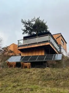 Chata Dorotka na sosne - Orjabina