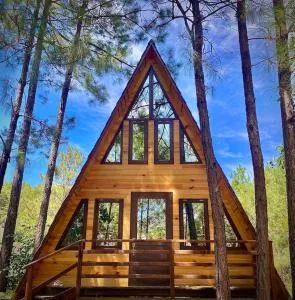 Cabaña nueva en el bosque y cerca al río Starlink - Pluma Hidalgo