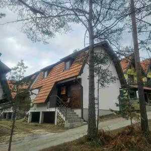 Šumor šume - Tara 1 - Šljivovica