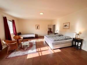 Großräumige Ferienwohnung auf Gut Petronell