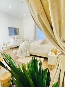 IN ROOM Old town Kaunas