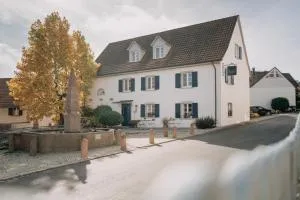 Traube Blansingen - Kembs