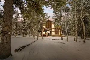 Henry - Staley Springs