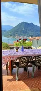 Gipsy - x 6 Garden & Magic - Sulzano