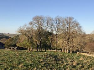 Lestive gîte 4 étoiles