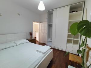 Cozy Apartment in the Center of Tirana