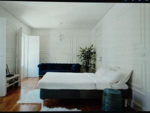 Zabaletto stay wonderful