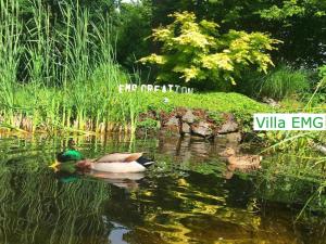 Luxury Family Holidays Villa in Emsdetten Munster