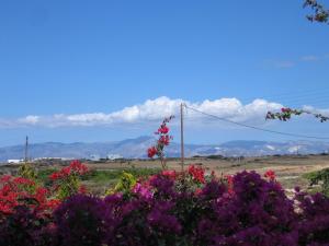 Aella Residence Paros Greece