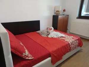 Apartamentul relaxarii M&F - Lupeasca