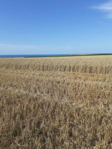 Gite au coeur de Senneville