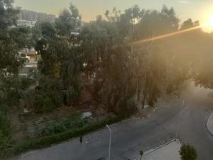 Room next to the airport and bus