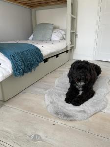 The Little Seahorse - Newly Renovated Cottage 5mins Walk The Beach with Hot Tub