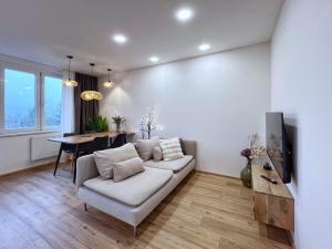 Janas WOW apt, 3 room, free parking, 15Airpt, 25City