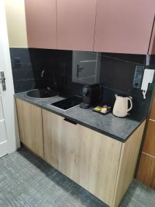 Studio apartament WINYLOWY