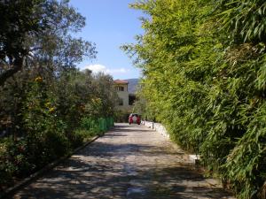 Vasiliki Studios Lesvos Greece