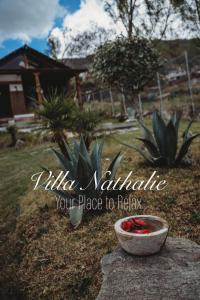 Villa Nathalie, 2 bedrooms, jacuzzi, king size bed, hammock, FIREPLACE