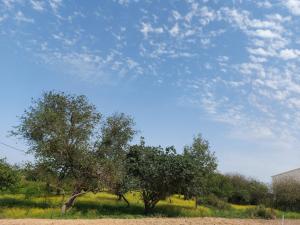 Maisons de vacances Maison familiale au calme avec jardin et barbecue - FR-1-581-144 : photos des chambres