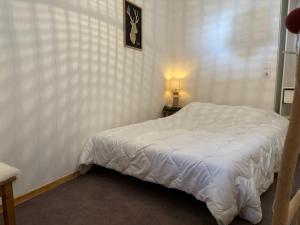 Appartement duplex 3 pièces aux Coches, 6 pers., parking gratuit - FR-1-329-99