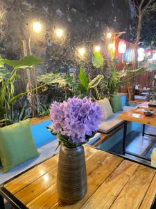 Ohayo Tam Coc Homestay