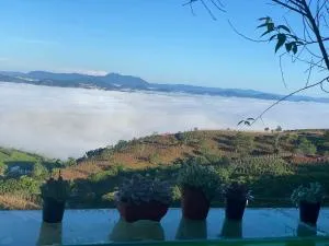 Cầu Đất TopView - Ấp Trạm Hành