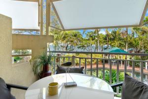 Belle Escapes Seashells on the Beach