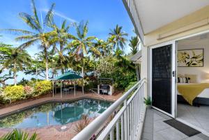 Belle Escapes Seashells on the Beach