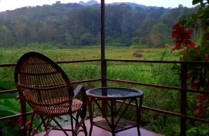 Jungle Retreat Wayanad - Kutta