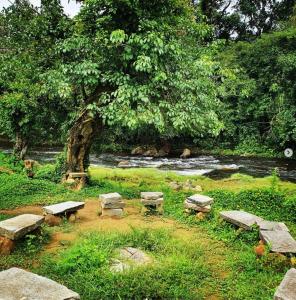 Jungle Retreat Wayanad