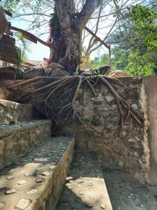 Lap nai doi homestay and space