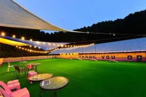 Thank you dog pet pension - 杨平郡