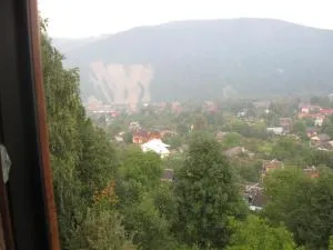 Gutsulochka Apartment - Fetraly