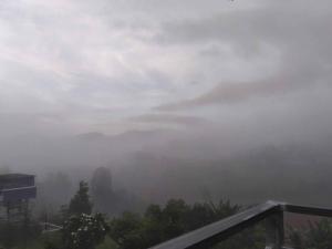 สิรีรินทร์ ภูหมอก