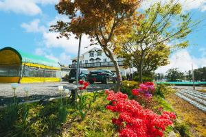 Poeguenhan Pension - Strutture non classificate a Taean