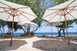 Sofanda Resort & Dive
