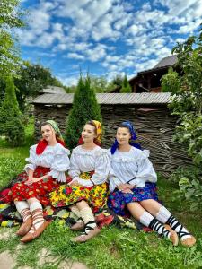 Floare de Maramures 1