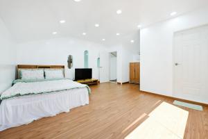 Forest Squirrel Pension