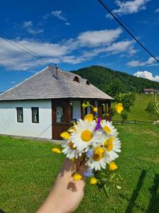 Casa Bunicilor Ciocanu