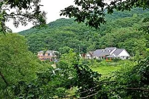 Inje Gombaeryeong Evergreen Pension - Inje