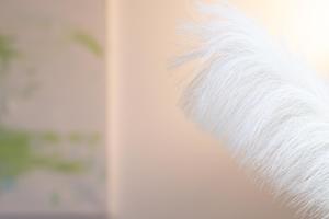 6 Zimmer Haus mit Wintergarten 2 Bäder Industrienah sehr ruhig gelegen