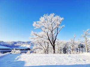 Sokcho Ulsanbawi Bed and Breakfast