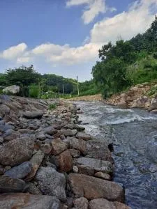 Yeongju Therapy Pension - Yeongju